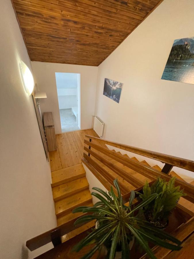 Sava River House - Apartments ブレッド エクステリア 写真