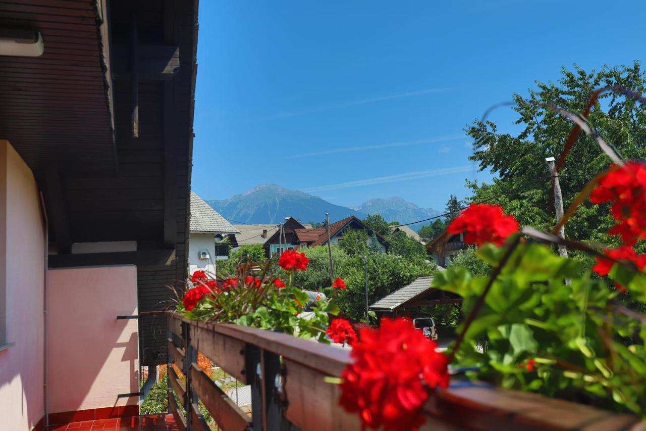 Sava River House - Apartments ブレッド エクステリア 写真