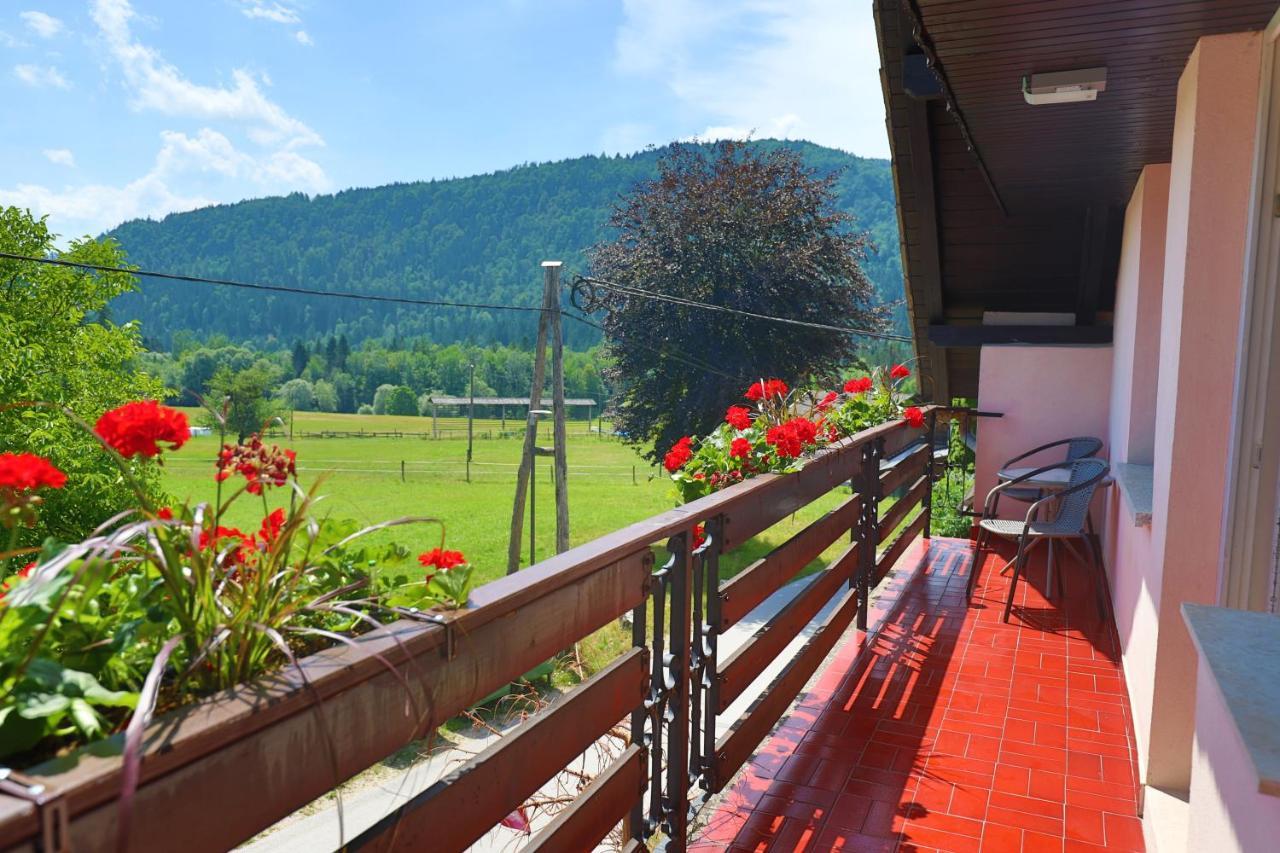 Sava River House - Apartments ブレッド エクステリア 写真