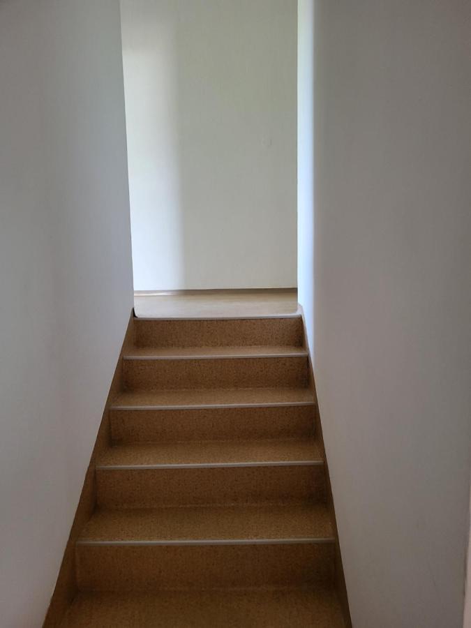 Sava River House - Apartments ブレッド エクステリア 写真