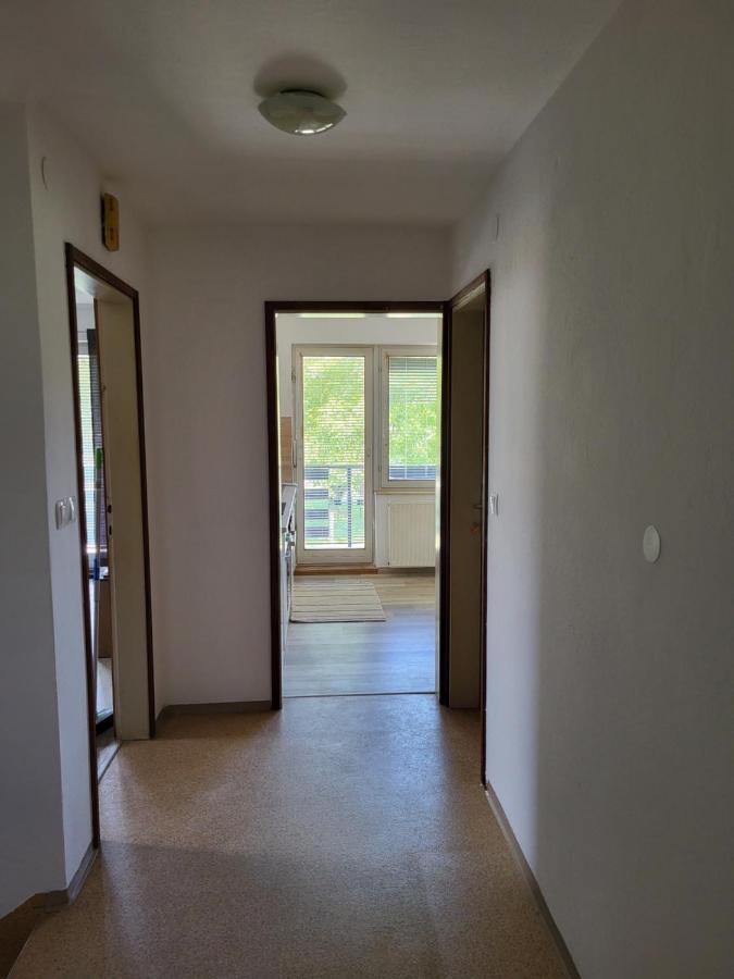 Sava River House - Apartments ブレッド エクステリア 写真